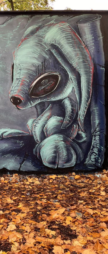 Graffiti Wall - Photo by x9 - graffiti, potsdam, x9 (2022)