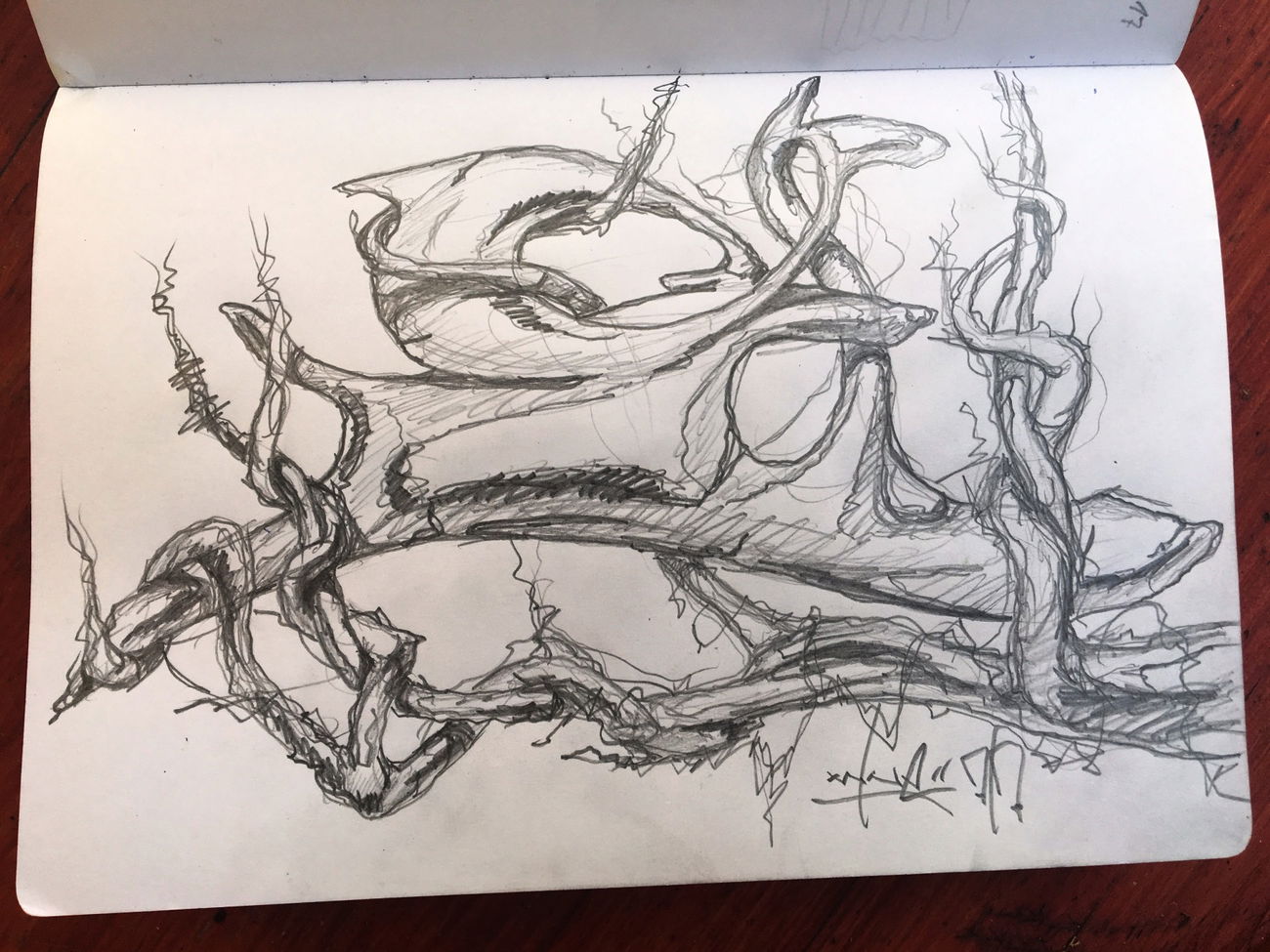 Graffiti Sketch - Photo by x9 (2017)