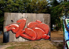 Graffiti Wall - Photo by x9 - potsdam, graffiti, xnine (2020)
