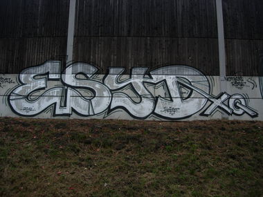 Graffiti Bombing - Photo by ycc117 - esyD, dxq, teltowkanal