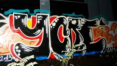 Graffiti Train - Photo by ycre