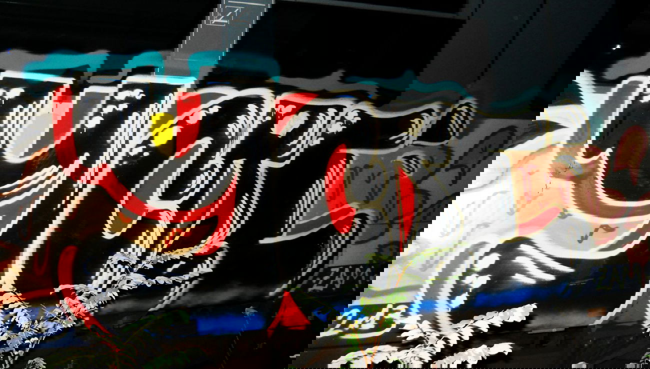 Graffiti Train - Photo by ycre