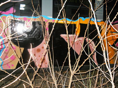 Graffiti Train - Photo by ycre