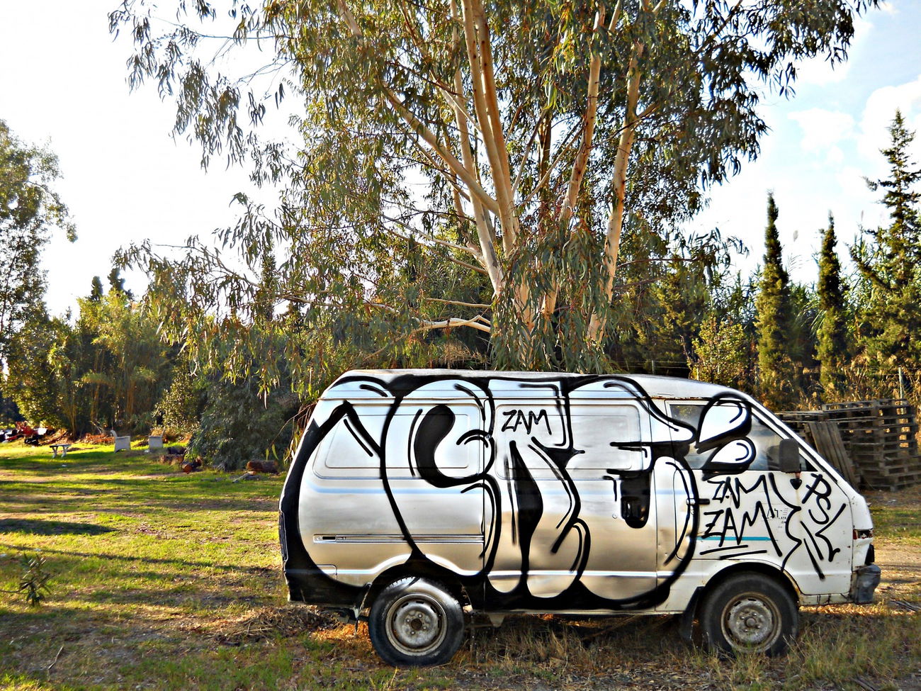 Graffiti Bombing in Δήμοσ Καρπενησίου - Photo by ycre - ycre, icre, van (2015)