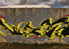 Photo #192033 by TheWallHunter