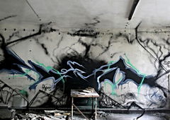 Photo #149872 by TheWallHunter