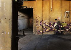 Photo #162423 by TheWallHunter