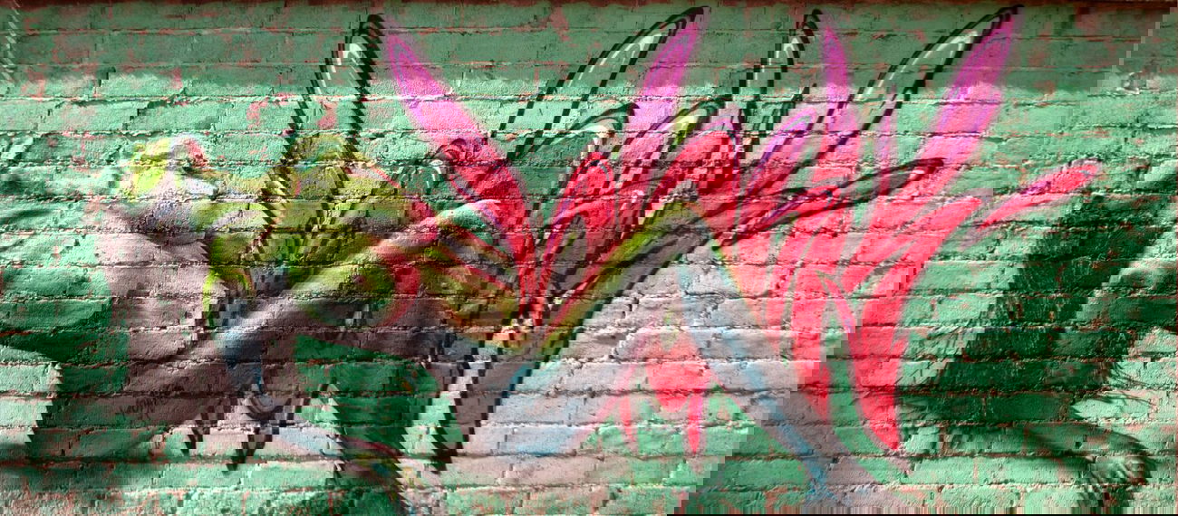 Graffiti Wall in Poland - Photo by yomi_lajn - yomi (2013)