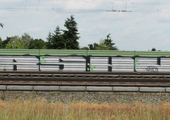 Photo #31491 by KNOCHEN