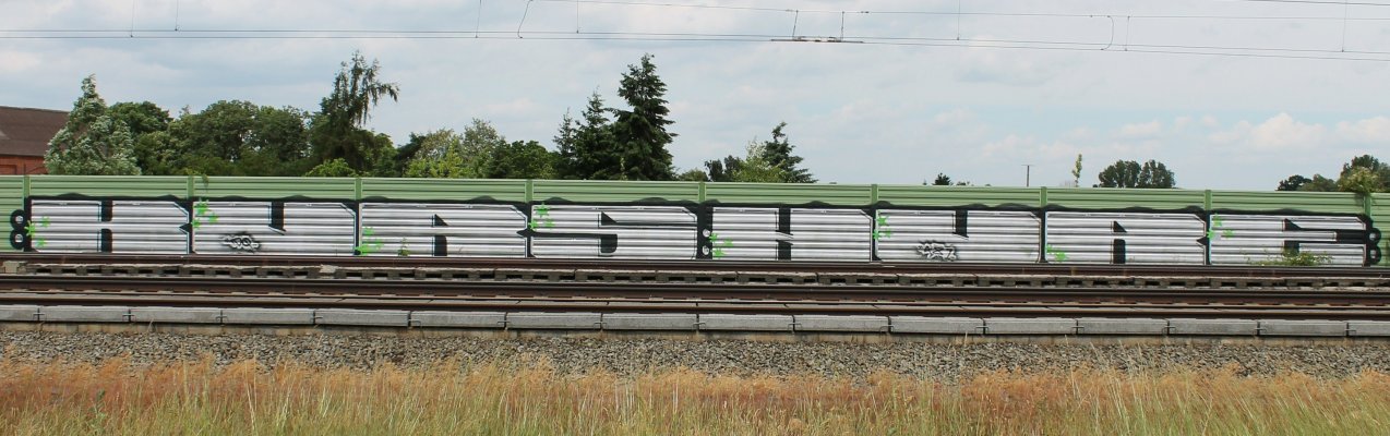 Graffiti Bombing - Photo by yukon - kurs, hure, 481 (2013)