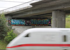 Photo #31493 by Janus