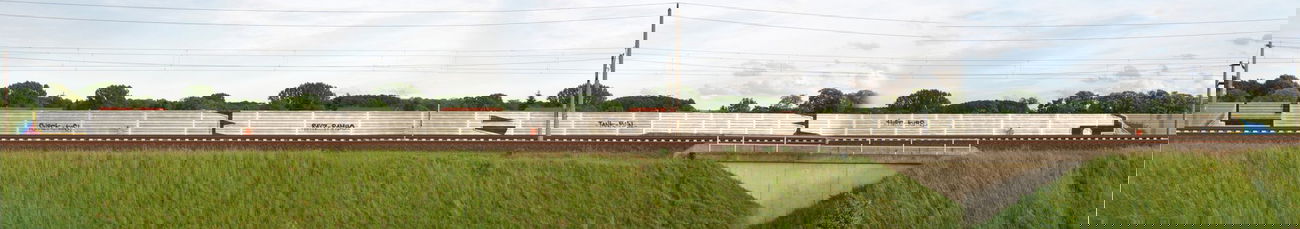 Graffiti Bombing - Photo by yukon - 481 (2014)