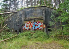 Photo #172752 by KNOCHEN