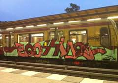 Photo #28521 by TagHagel