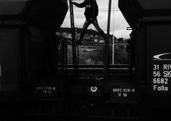 Photo #86080 by Chintz