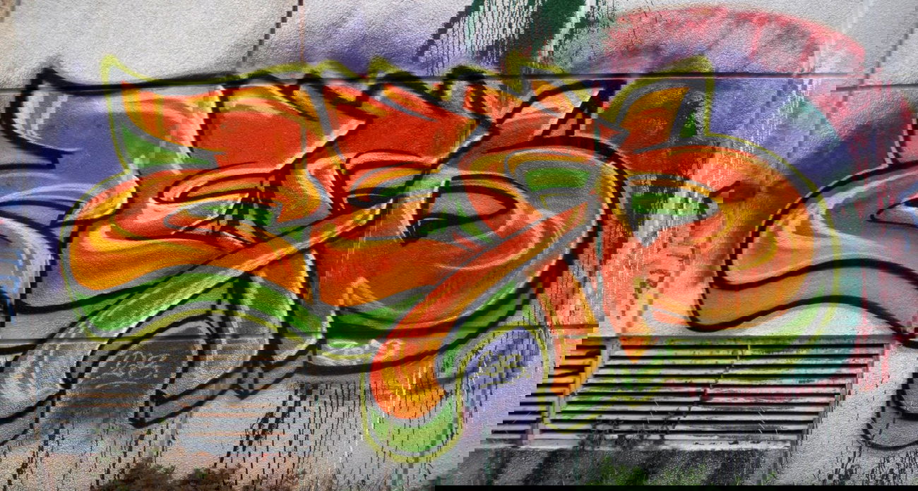 Graffiti Wall in Varna - Photo by zefyn - zefo, zefyn, varna (2013)