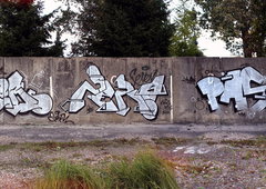 Photo #41231 by VandalEsp