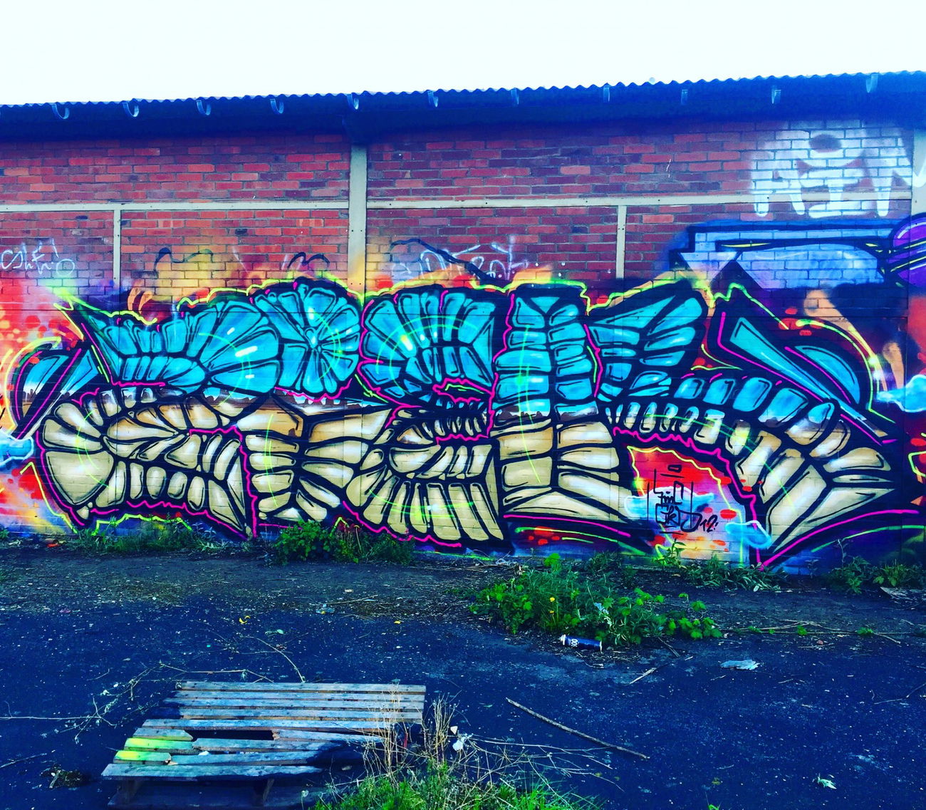 Graffiti Wall - Photo by ziek - ziek, fmc (2016)