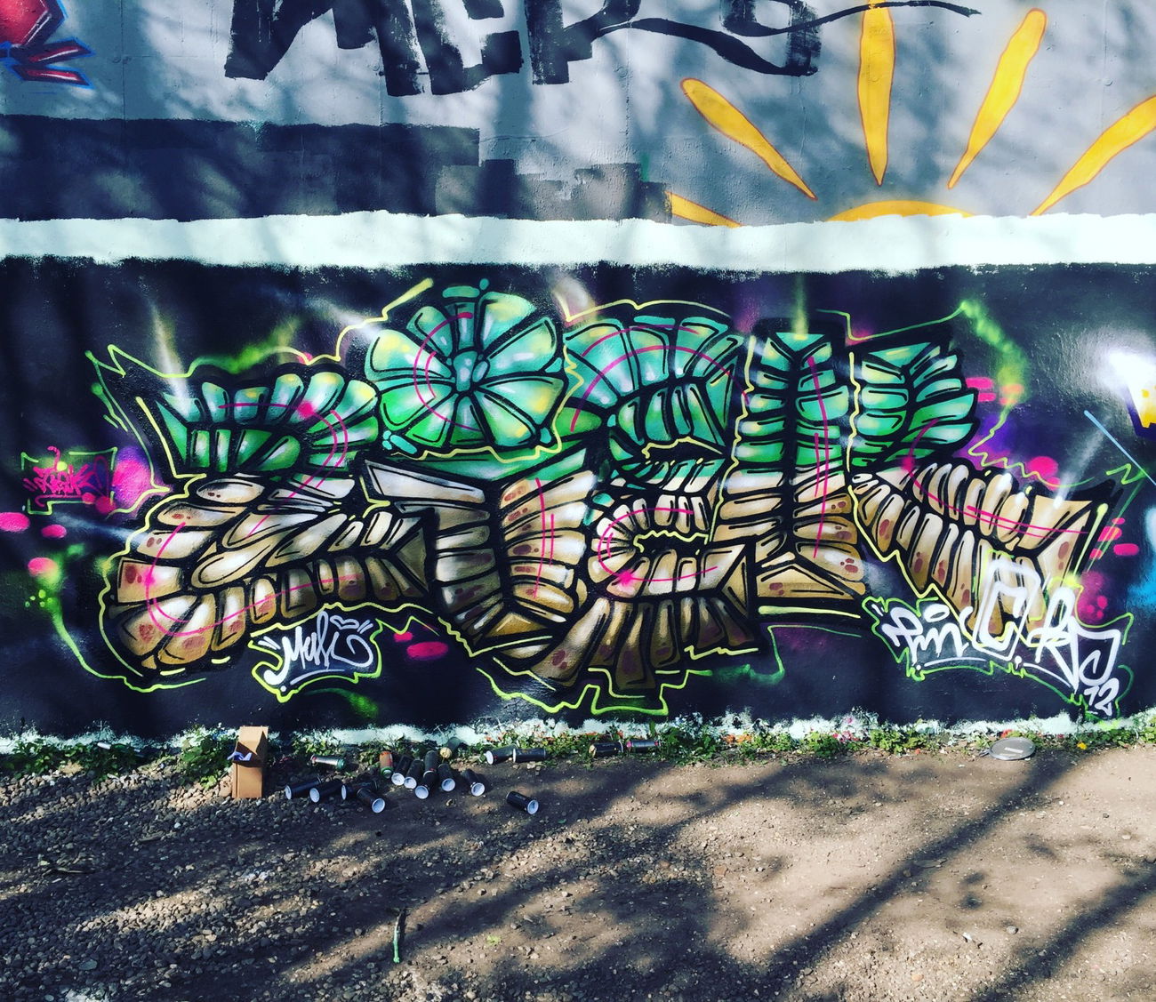 Graffiti Wall - Photo by ziek - ziek, fmc (2016)