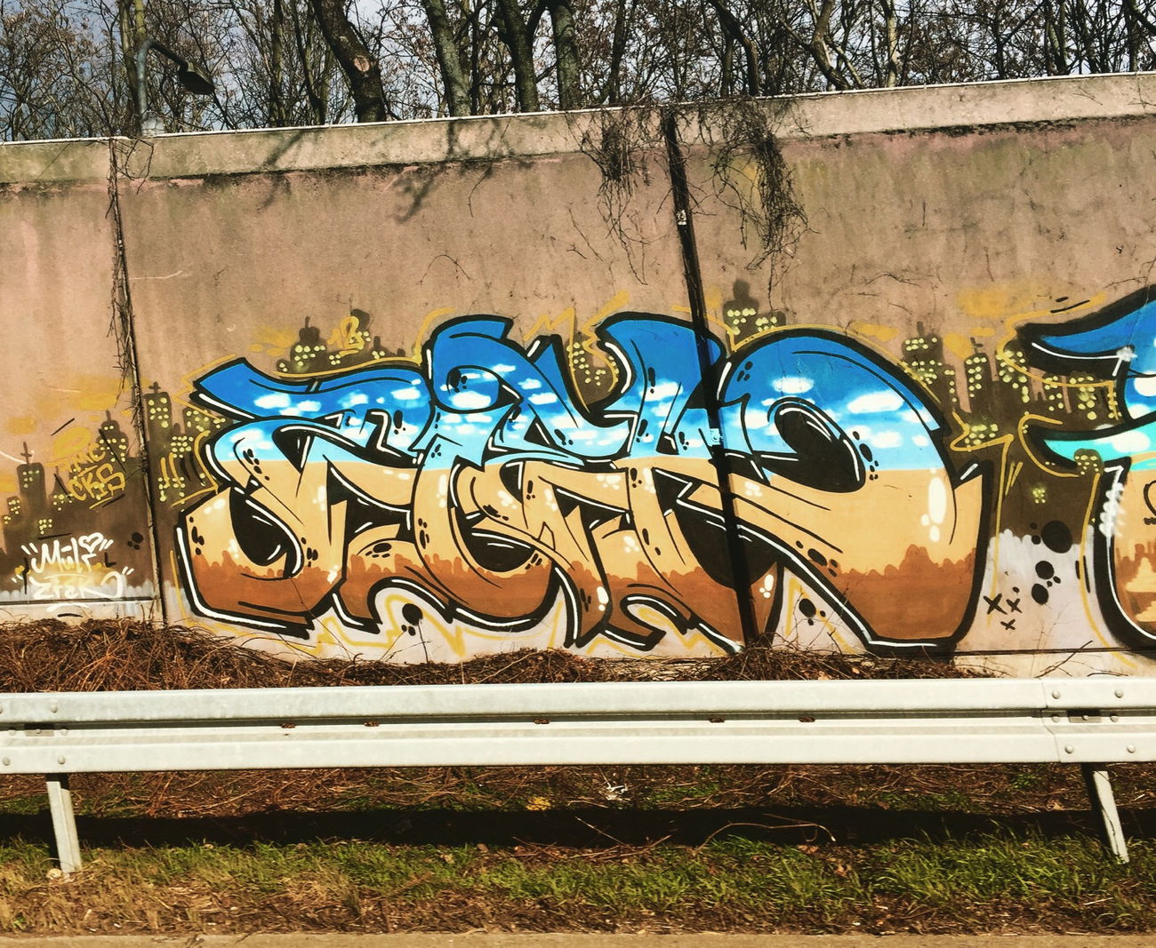 Graffiti Wall - Photo by ziek - ziek, fmc (2016)
