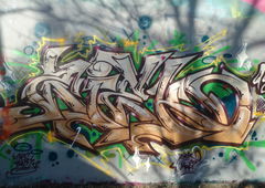 Photo #151701 by Belt