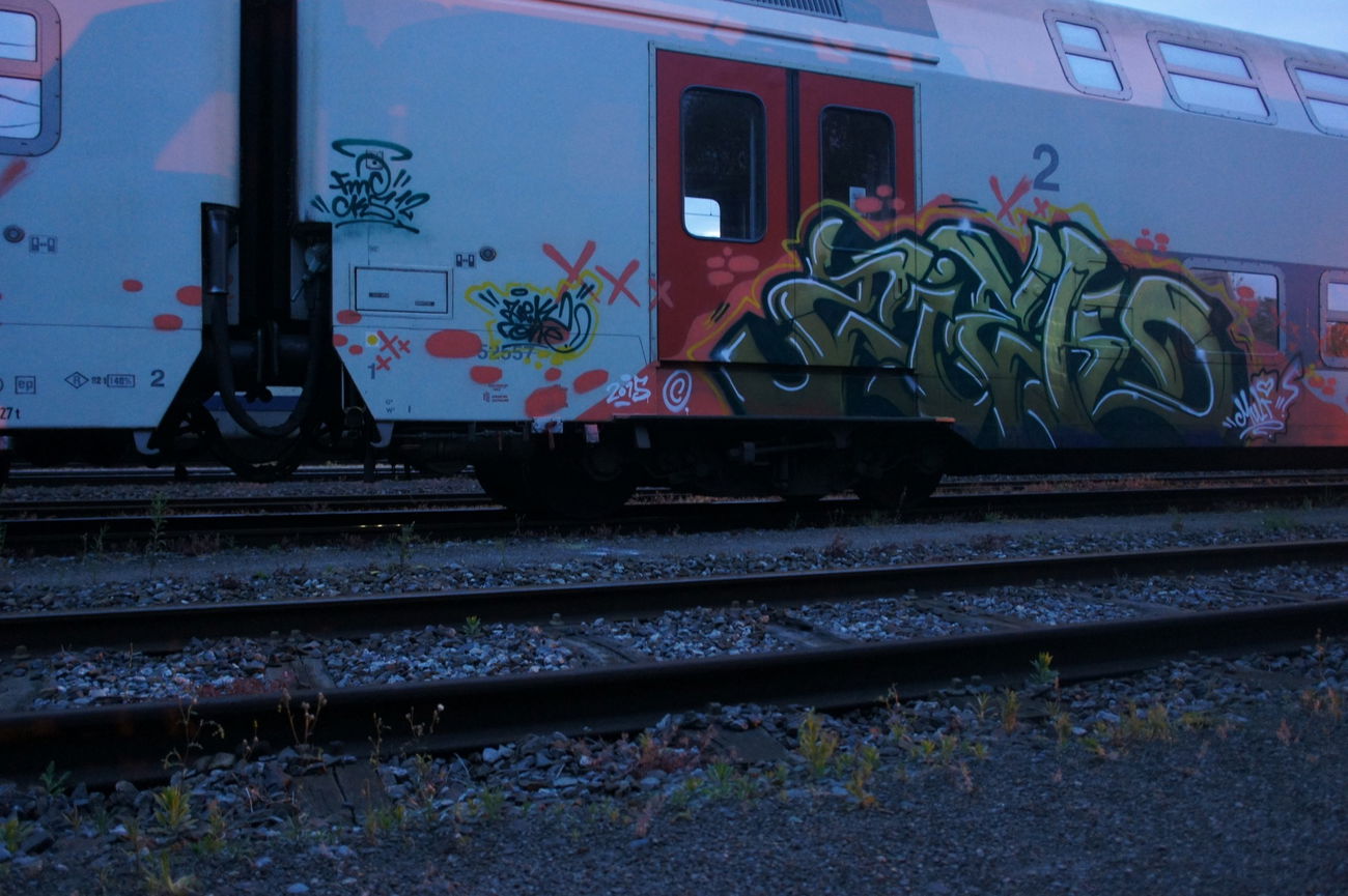 Graffiti Train - Photo by ziek - ziek