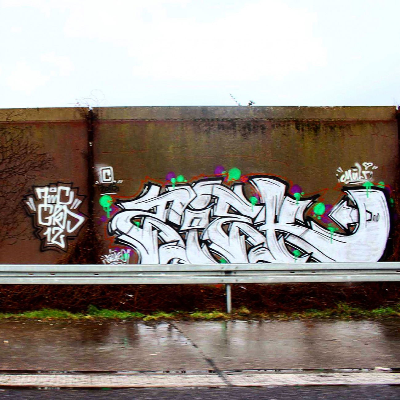 Graffiti Wall - Photo by ziek - ziek, fmc, cks12 (2016)