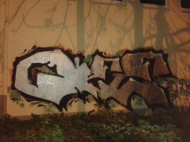 Graffiti Bombing - Photo by ziemlichwarm - Olee