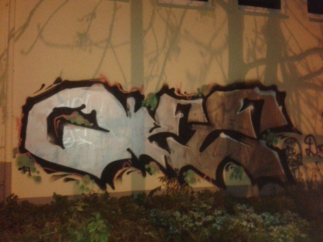 Graffiti Bombing - Photo by ziemlichwarm - Olee