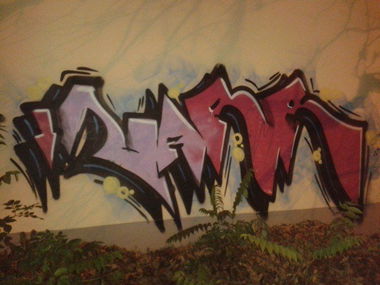 Graffiti Bombing - Photo by ziemlichwarm - Narr