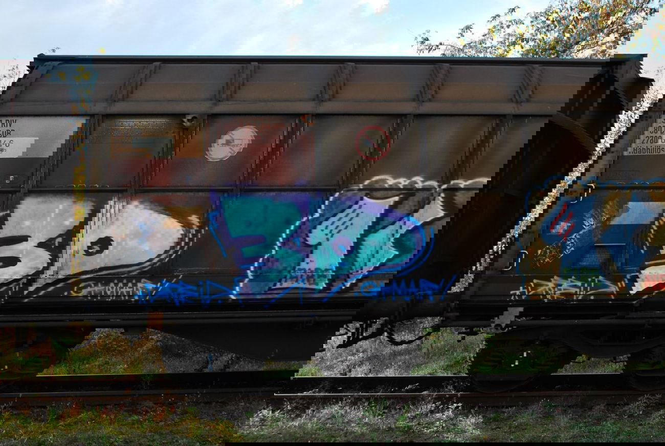 Graffiti Train - Photo by zivilbeamter - 3d, otmar, dreid (2014)