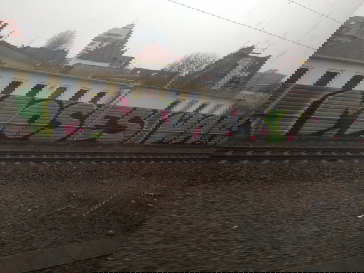 Graffiti Bombing - Photo by zore - Moses, Wars, top