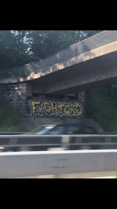 Graffiti Bombing - Photo by zwolli - fighters, sgd, dynamo (2016)