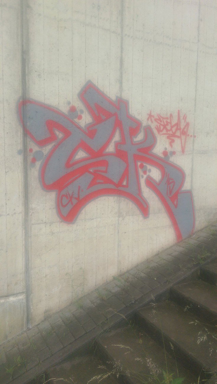 Graffiti Bombing - Photo by zwolli