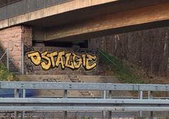 Photo #177875 by TheWallHunter