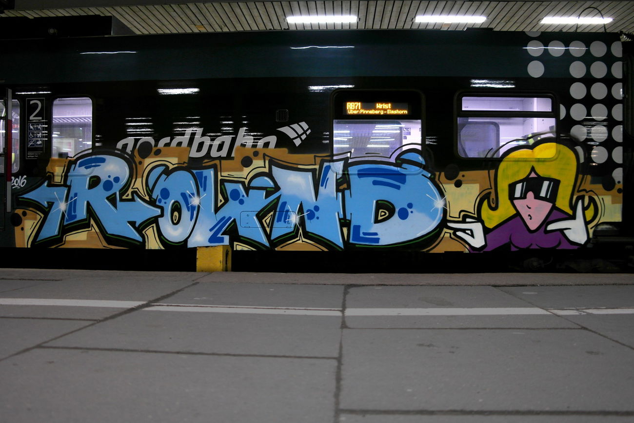 Graffiti Train - Photo by zzzzz (2016)