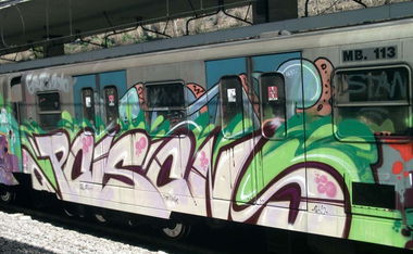 Graffiti Train - Photo by zzzzz - POISON (2013)