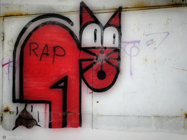 Graffiti Bombing - Photo by zzzzz