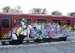 Graffiti Train - Photo by zzzzz