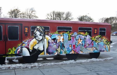 Graffiti Train - Photo by zzzzz