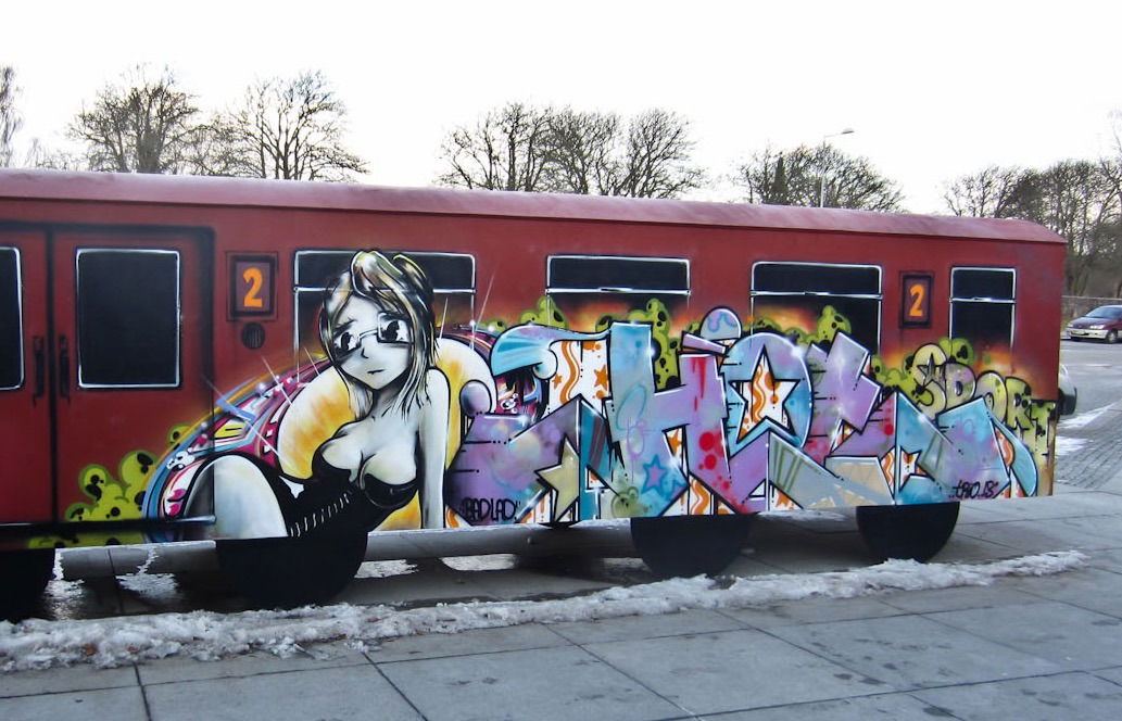 Graffiti Train - Photo by zzzzz