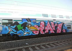 Graffiti Train - Photo by zzzzz - opak