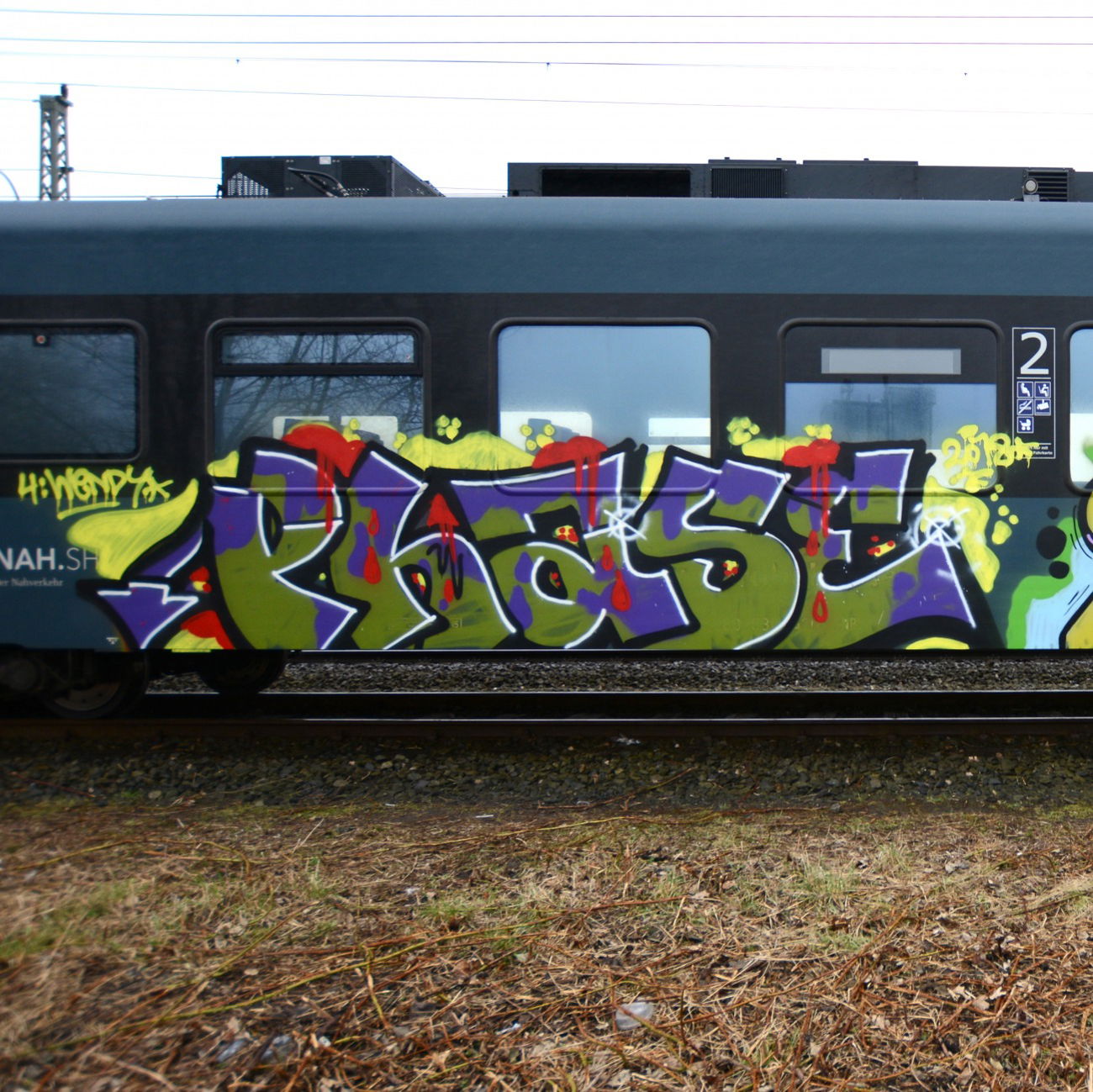 Graffiti Train - Photo by zzzzz (2018)